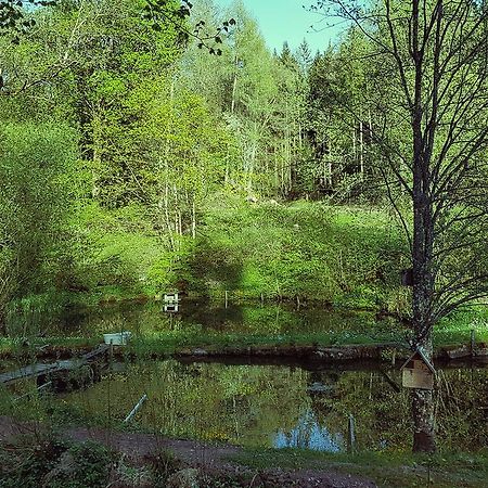 Gut Lauterbad Hotel Freudenstadt Buitenkant foto