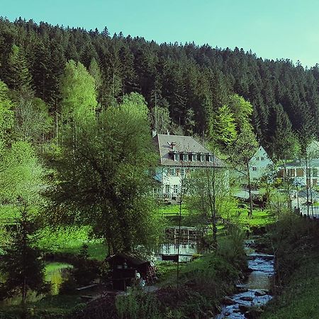 Gut Lauterbad Hotel Freudenstadt Buitenkant foto