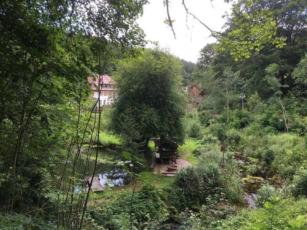 Gut Lauterbad Hotel Freudenstadt Buitenkant foto