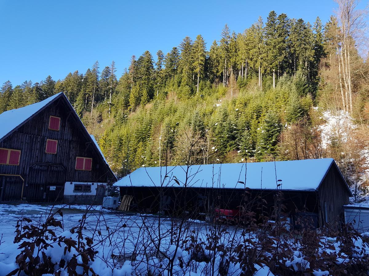 Gut Lauterbad Hotel Freudenstadt Buitenkant foto