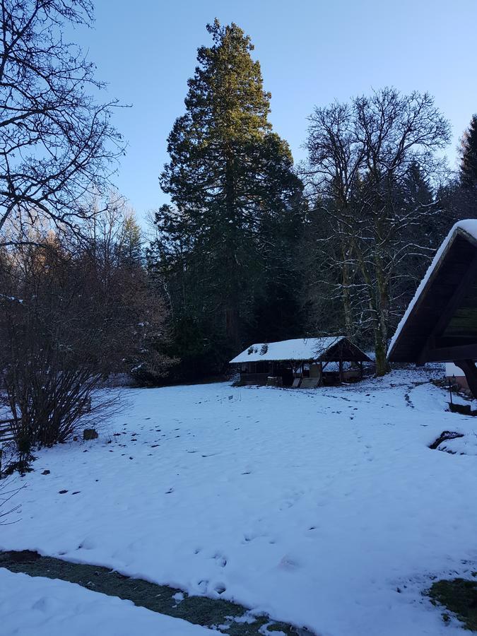 Gut Lauterbad Hotel Freudenstadt Buitenkant foto