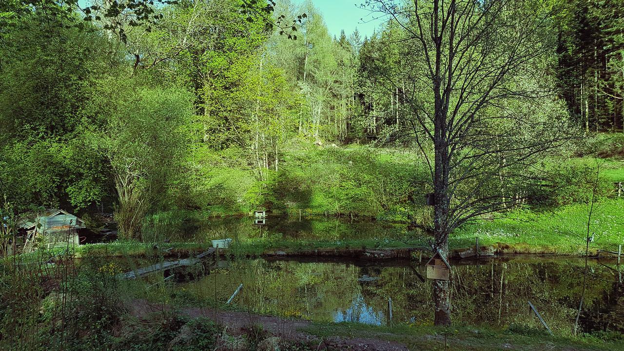 Gut Lauterbad Hotel Freudenstadt Buitenkant foto