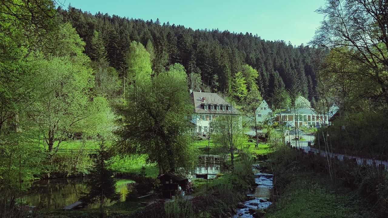Gut Lauterbad Hotel Freudenstadt Buitenkant foto