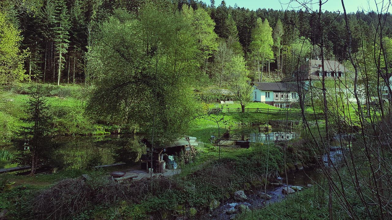 Gut Lauterbad Hotel Freudenstadt Buitenkant foto