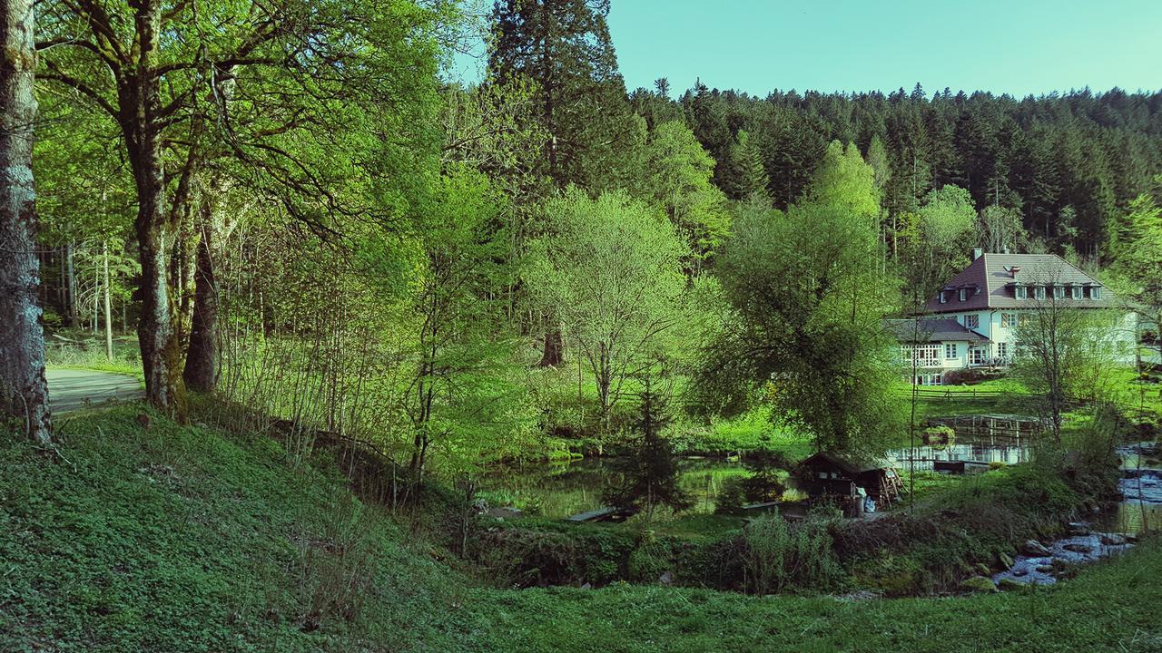 Gut Lauterbad Hotel Freudenstadt Buitenkant foto