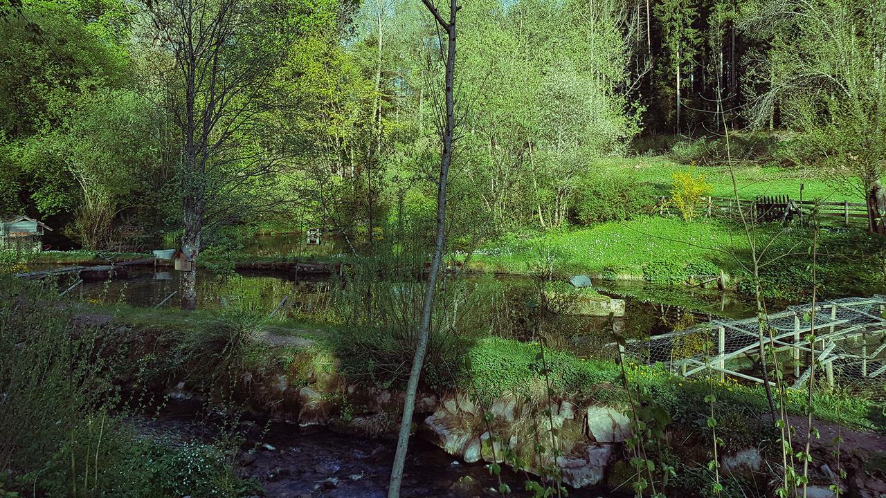 Gut Lauterbad Hotel Freudenstadt Buitenkant foto